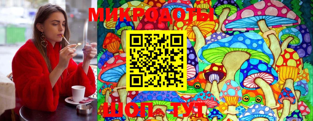 Галлюциногенные грибы Magic Shrooms  как найти   Ярославль  Вход с VPN 